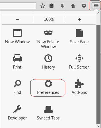 New Window print P Find Developer 100% New Private Window History O Preferences Synced Tabs Save Page Full Screen Add-ons 