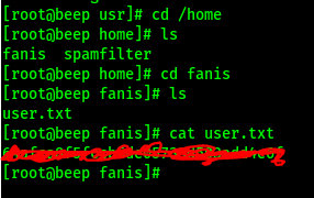 [rootöbeep-usrlg cd 'home 
[rootabeep home]g Is 
fan is spamfil ter 
[rootabeep 
[rootabeep 
user.txt 
[ rootabeep 
[rootabeep 
home]g cd fanis 
fanisJß Is 
fanis]ß cat user. txt 
fanis]r 