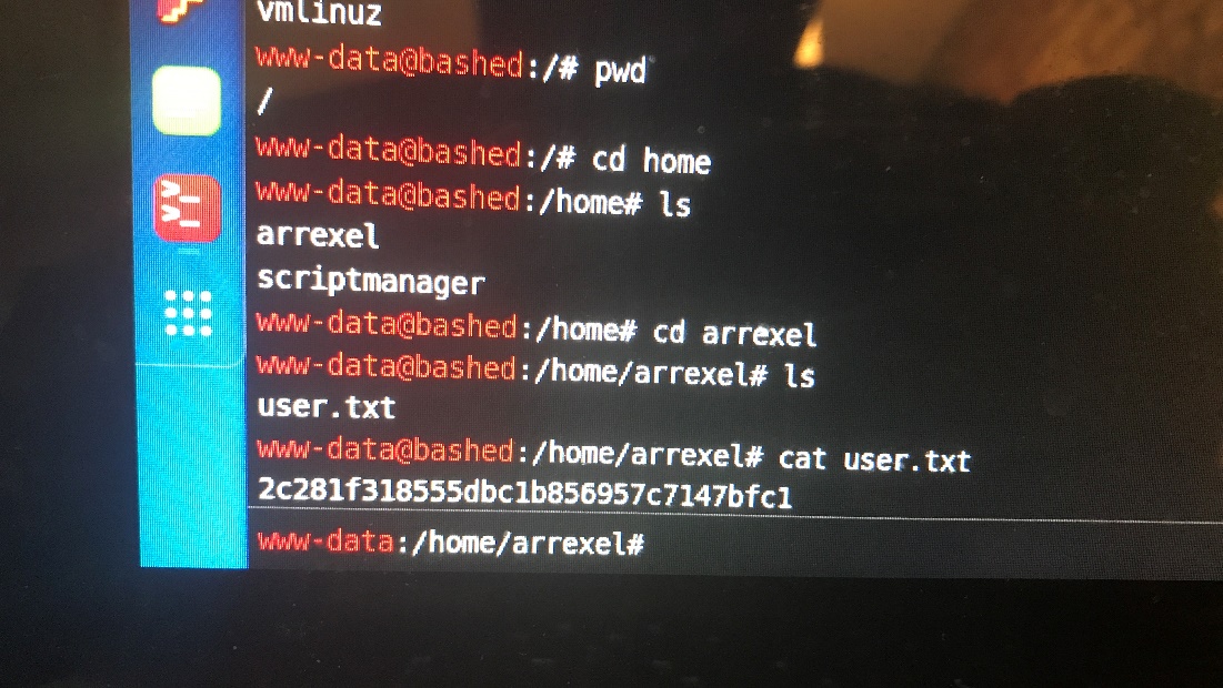 vmunuz 
vM$Fdata@hdfiIhed :/# pwd 
1/ft/ft$Fdata@Iih3fiIhed :/# cd home 
: /home# Is 
arrexel 
: /home# cd arrexet 
: /home/arrexel# Is 
user. txt 
: /home/arrexel# cat user. txt 
\ 2c281f318555dbc1b856957c7147bfc1 
ww+data 